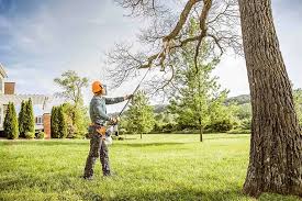 Best Root Management and Removal  in Pine Grove Mills, PA